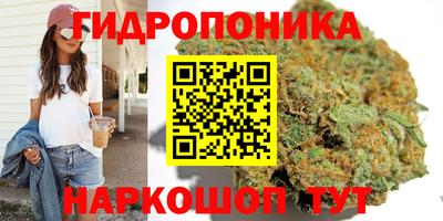 гидра Гусев