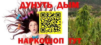 гидра Гусев