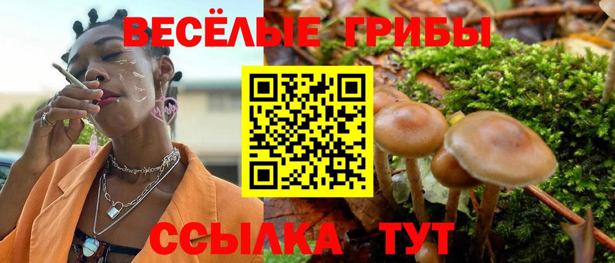Луховицы  Галлюциногенные грибы GOLDEN TEACHER  Вход с VPN 